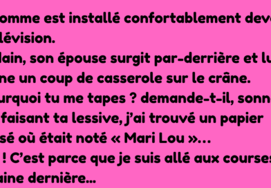 Un jeune Belge vient tout juste d’épouser une magnifique jeune femme. Le lendemain matin, ses amis le croisent par hasard et lui lancent « Alors, cette nuit de noces, ça a donné quoi » « Oh, je (1)