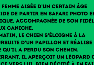 Un jeune Belge vient tout juste d’épouser une magnifique jeune femme. Le lendemain matin, ses amis le croisent par hasard et lui lancent « Alors, cette nuit de noces, ça a donné quoi » « Oh, je