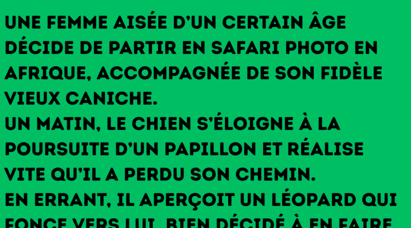 Un jeune Belge vient tout juste d’épouser une magnifique jeune femme. Le lendemain matin, ses amis le croisent par hasard et lui lancent « Alors, cette nuit de noces, ça a donné quoi » « Oh, je