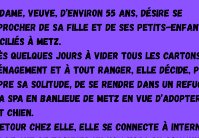 aide gov carburant (2)