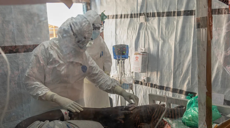 ebola france
