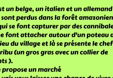 plante kella remede (1)