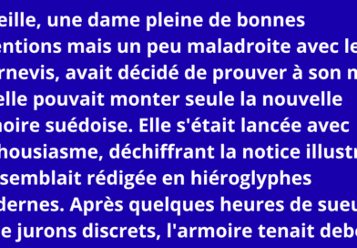 blague fille