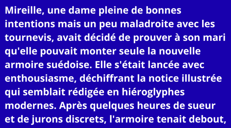 blague fille