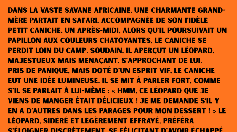 blague fille