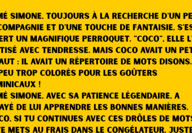 blague fille