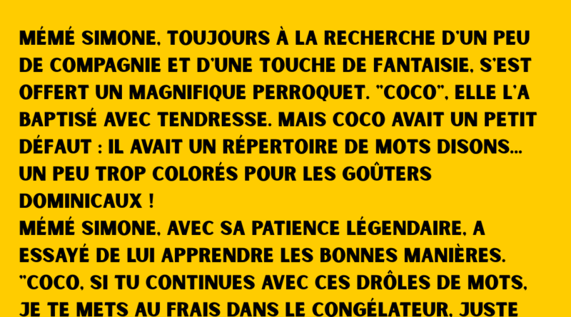 blague fille