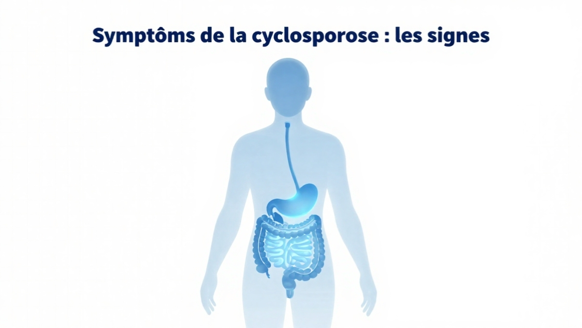 Schéma explicatif des principaux symptômes de la cyclosporose pour une détection rapide