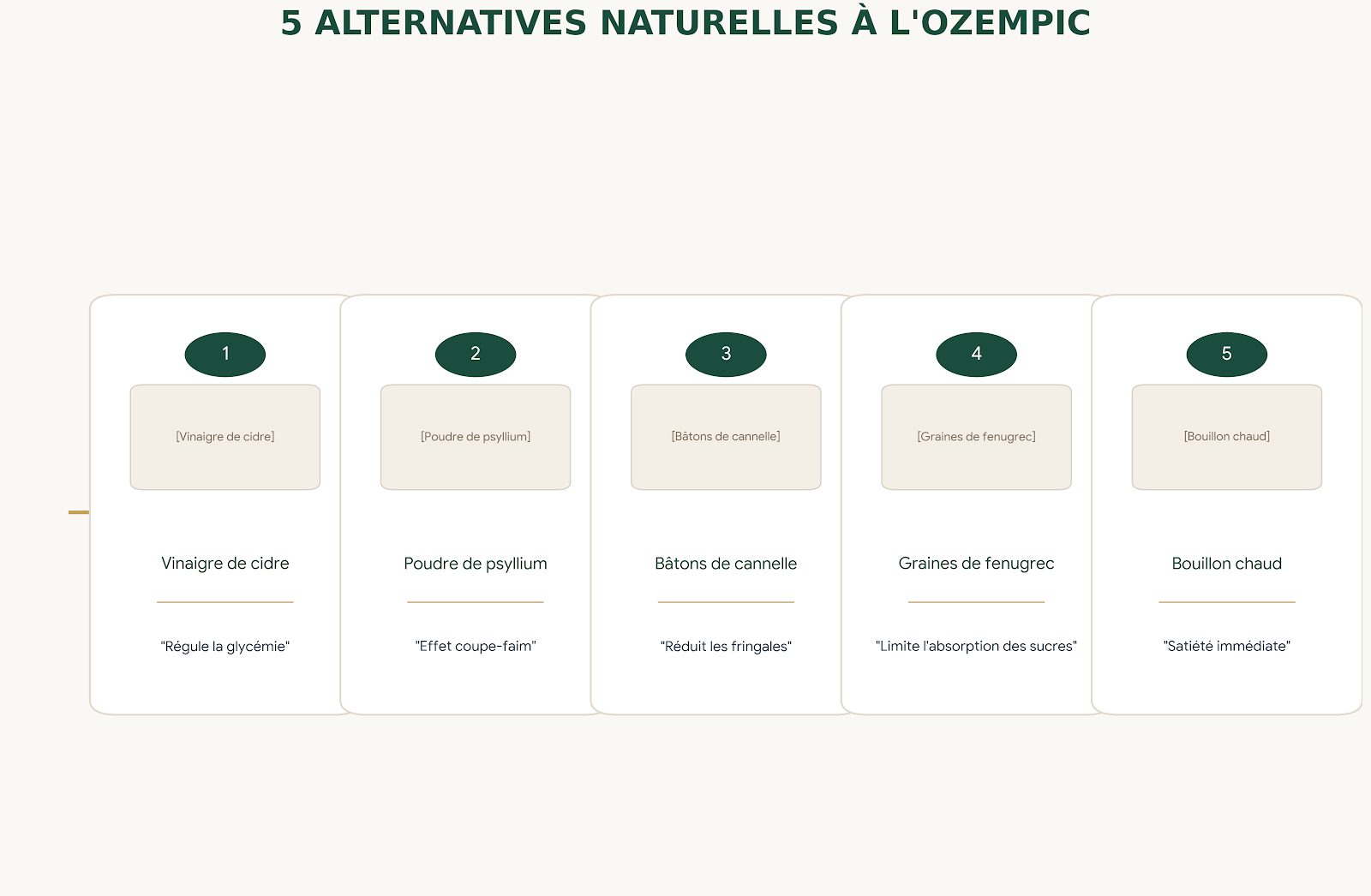 Infographie 5 alternatives naturelles à l'Ozempic : vinaigre de cidre, psyllium, cannelle, fenugrec et bouillon pour couper la faim