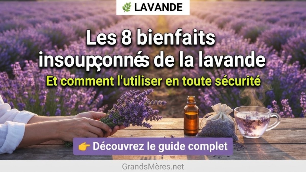 Champ de lavande en fleurs, mains tenant un bouquet de lavande, flacon d'huile essentielle, sachet de fleurs séchées et tasse d'infusion sur une table en bois – illustration des bienfaits de la lavande